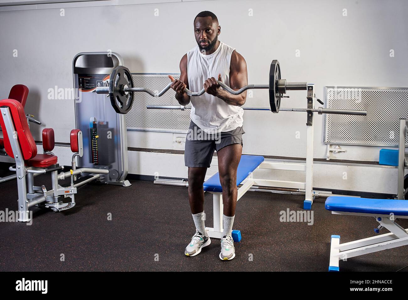 El levantamiento de pesas en el gimnasio, practicar ejercicio y un robusto  cuerpo. Poderosos ejercicios físicos enérgicos - Ilustración 3d Fotografía  de stock - Alamy