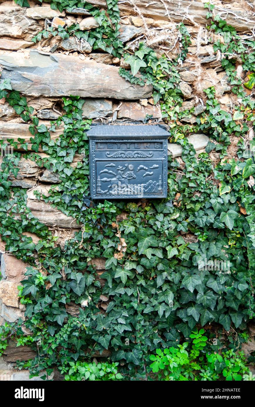 Vieja caja de poste negra en pared de piedra de pizarra con planta de escalada en vertical Foto de stock