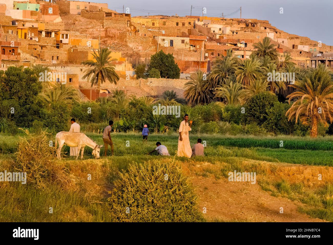 Zona agrícola cerca de la aldea Nagaa Ad Disah, situada en las colinas rocosas con vistas a la orilla del río Nilo en el Alto Egipto Foto de stock