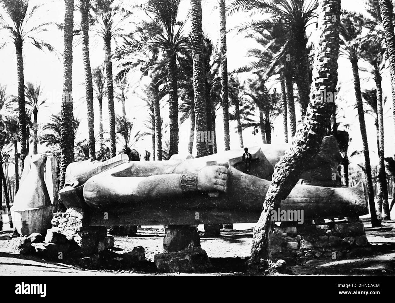 Estatua de Ramsés II en Memphis, Egipto, época victoriana Foto de stock