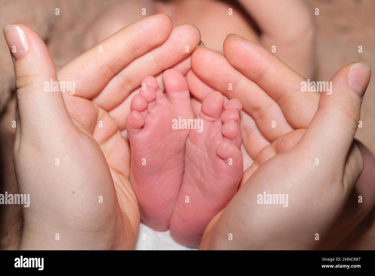 Las piernas de un bebé de dos semanas de edad están en manos de una madre. Las palmas de una mujer y los pies de un niño, el amor y el cuidado de los padres. Foto de stock