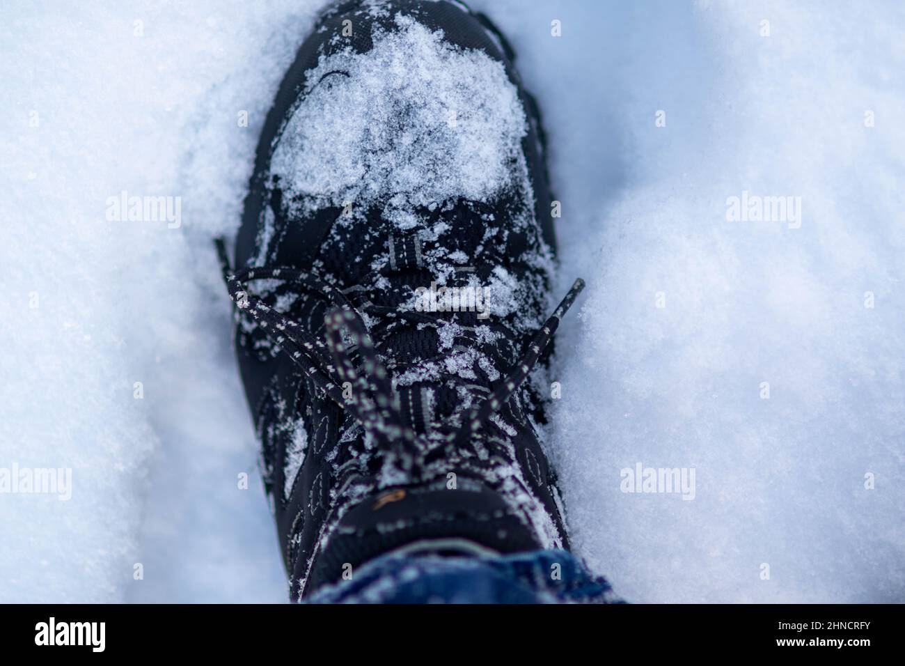 Un zapato cubierto de nieve Foto de stock