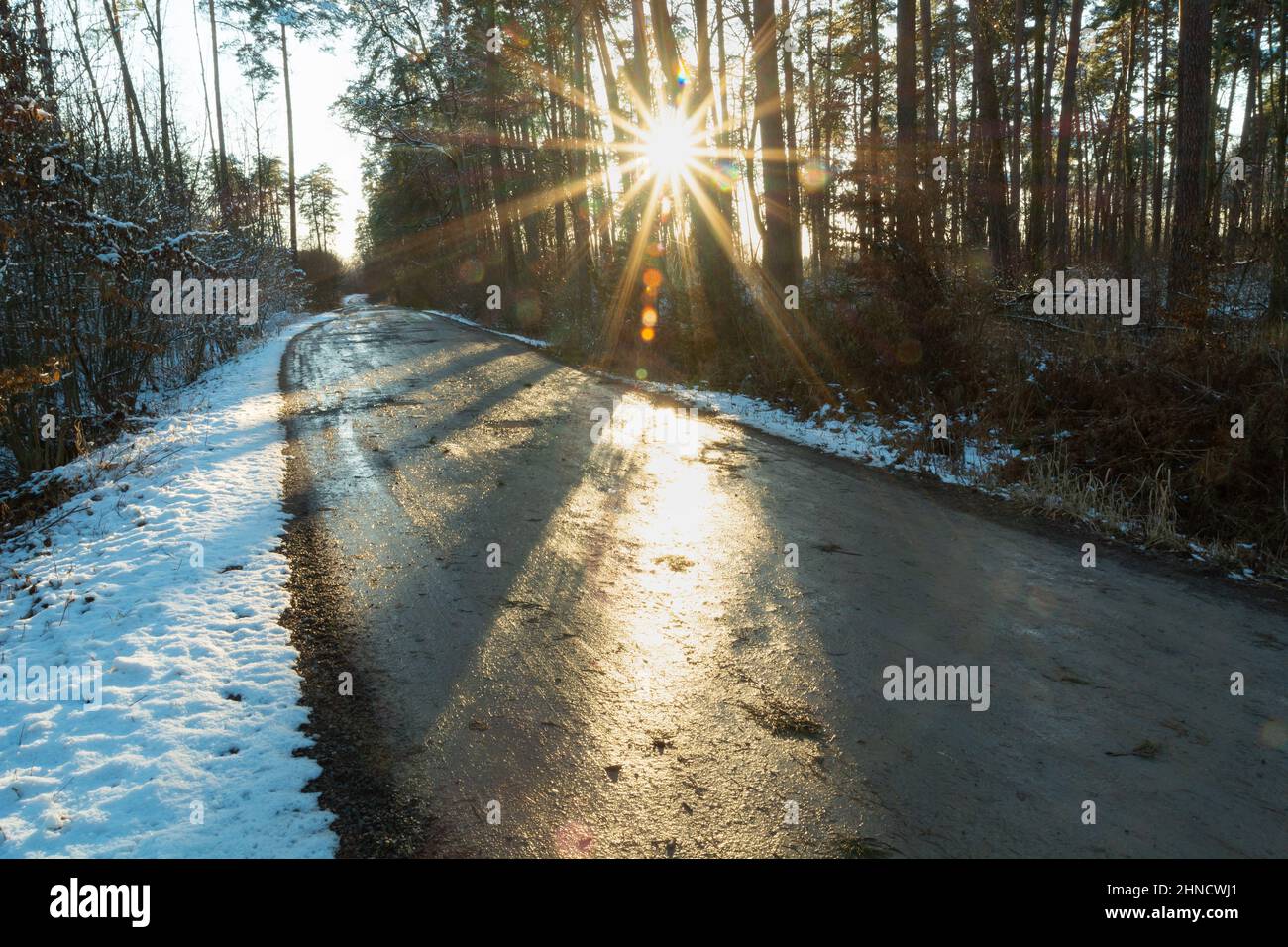 Carretera a través del bosque y el sol, día soleado de invierno, Stankow, Polonia Foto de stock