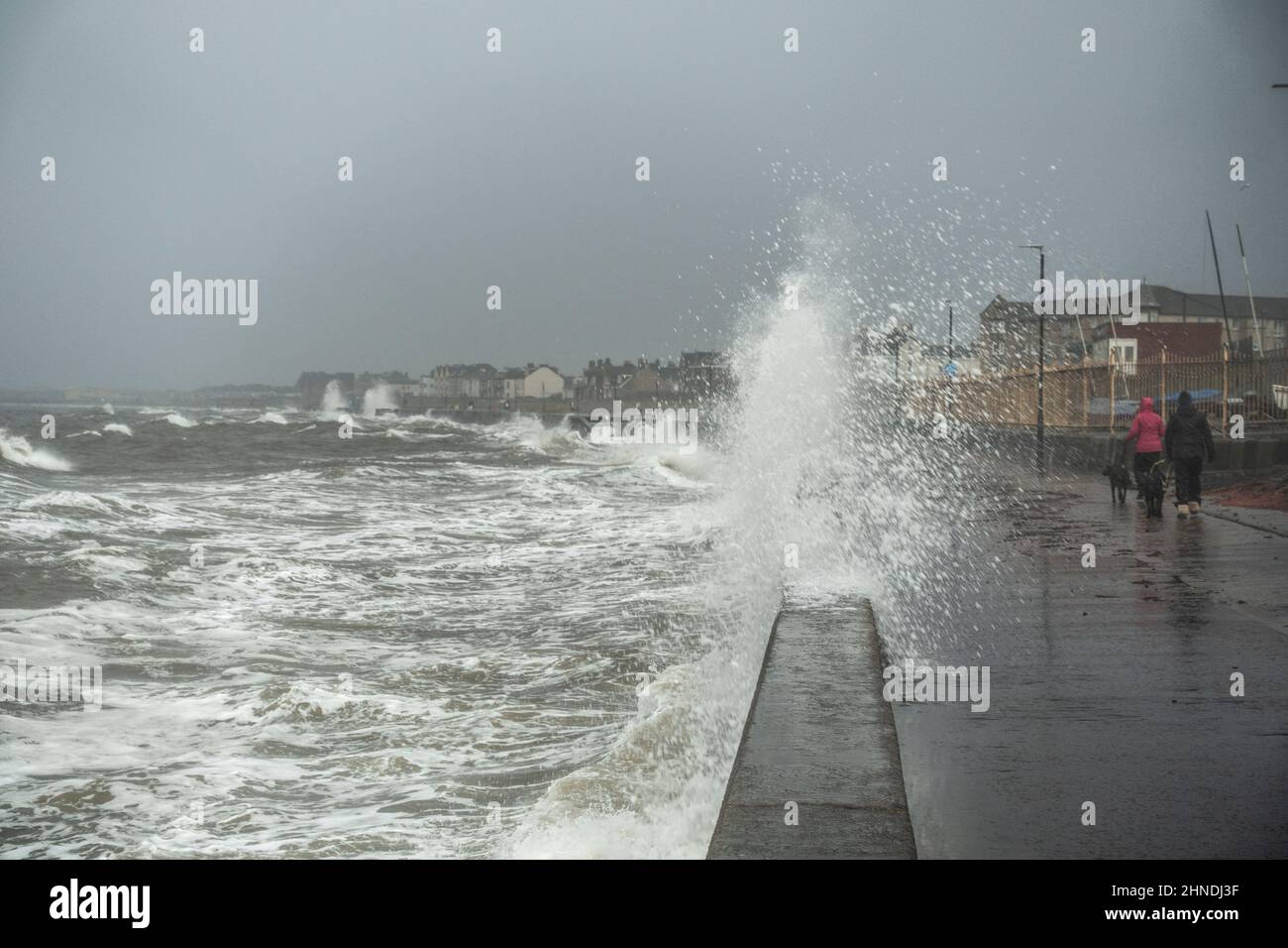 Prestwick, Escocia, Reino Unido; 16th de febrero de 2022. Una marea alta delante de la tormenta Dudley trae olas rompiendo en el paseo marítimo de Prestwick, South Ayrshire. Dos mujeres caminan sus perros a lo largo del paseo marítimo. Liz Leyden/Alamy Live News Foto de stock