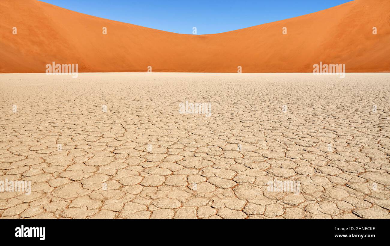 Deadvlei es una arcilla blanca pan situado cerca del más famoso salar de Sossusvlei, dentro del Parque Namib-Naukluft en Namibia. Foto de stock