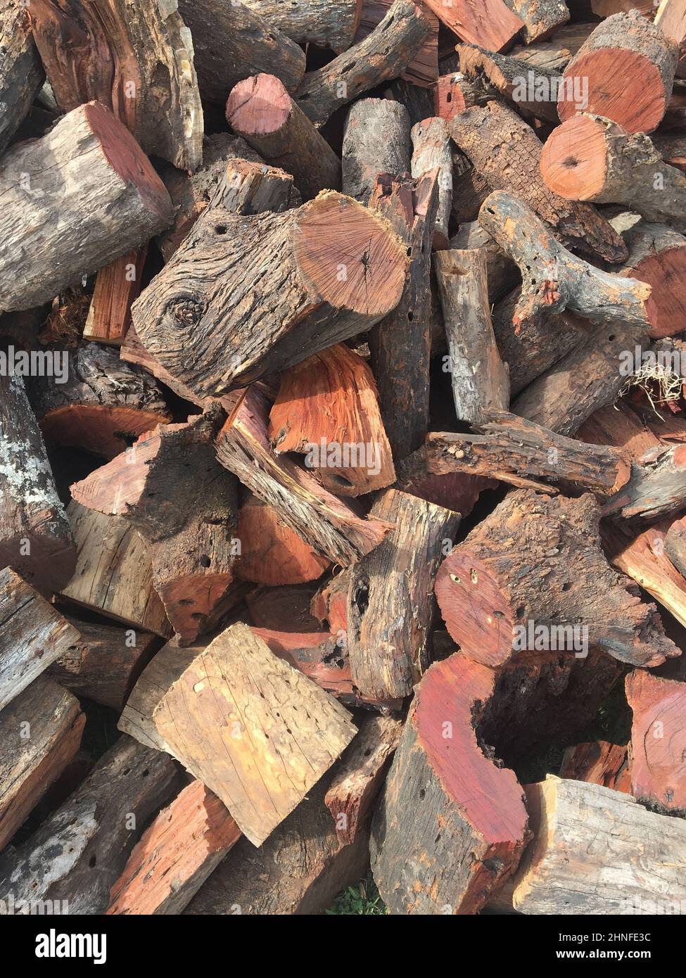 Arbol quebracho fotografías e imágenes de alta resolución Alamy