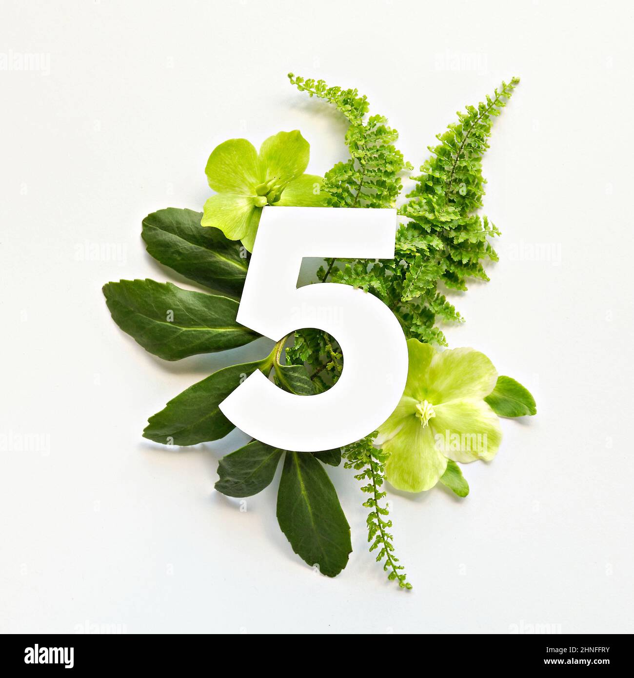 Numero 5 con flores fotografías e imágenes de alta resolución Alamy