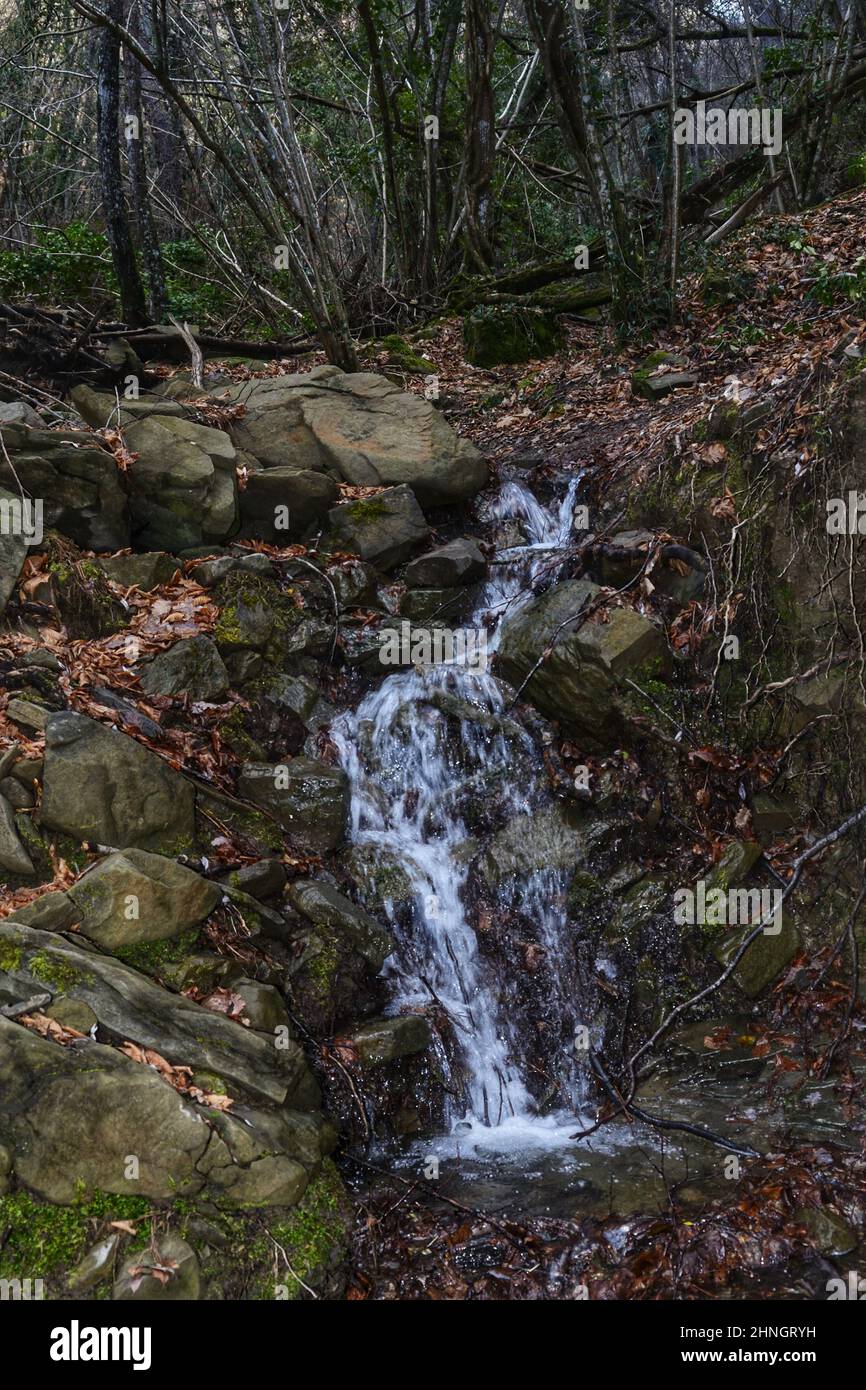 Pequeña cascada en un bosque en las montañas en un frío día de invierno Foto de stock