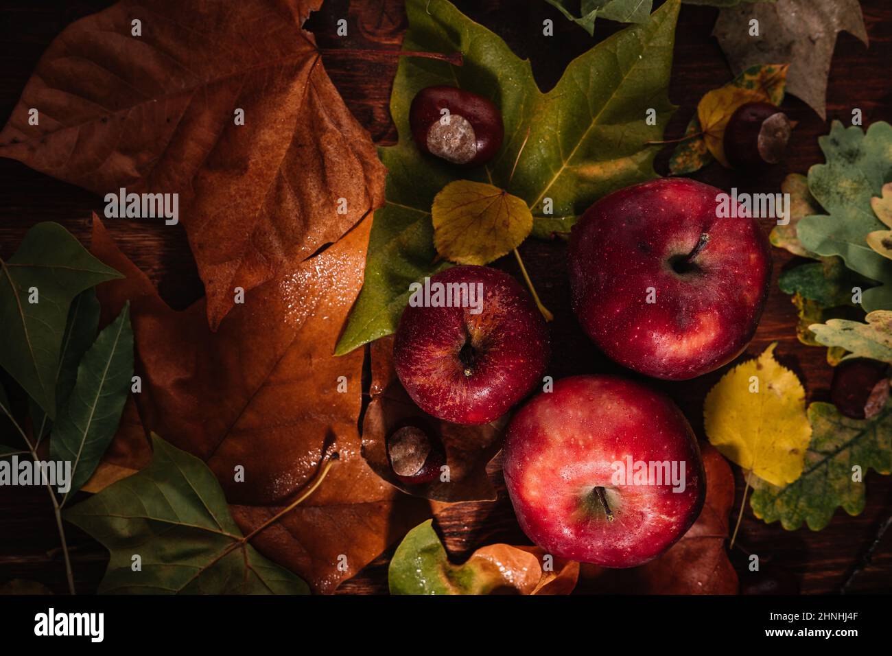 Vaso de Sider en un ambiente de otoño con manzana Dabinet en el fondo Foto de stock