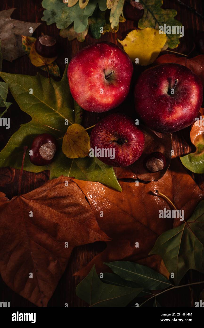 Vaso de Sider en un ambiente de otoño con manzana Dabinet en el fondo Foto de stock