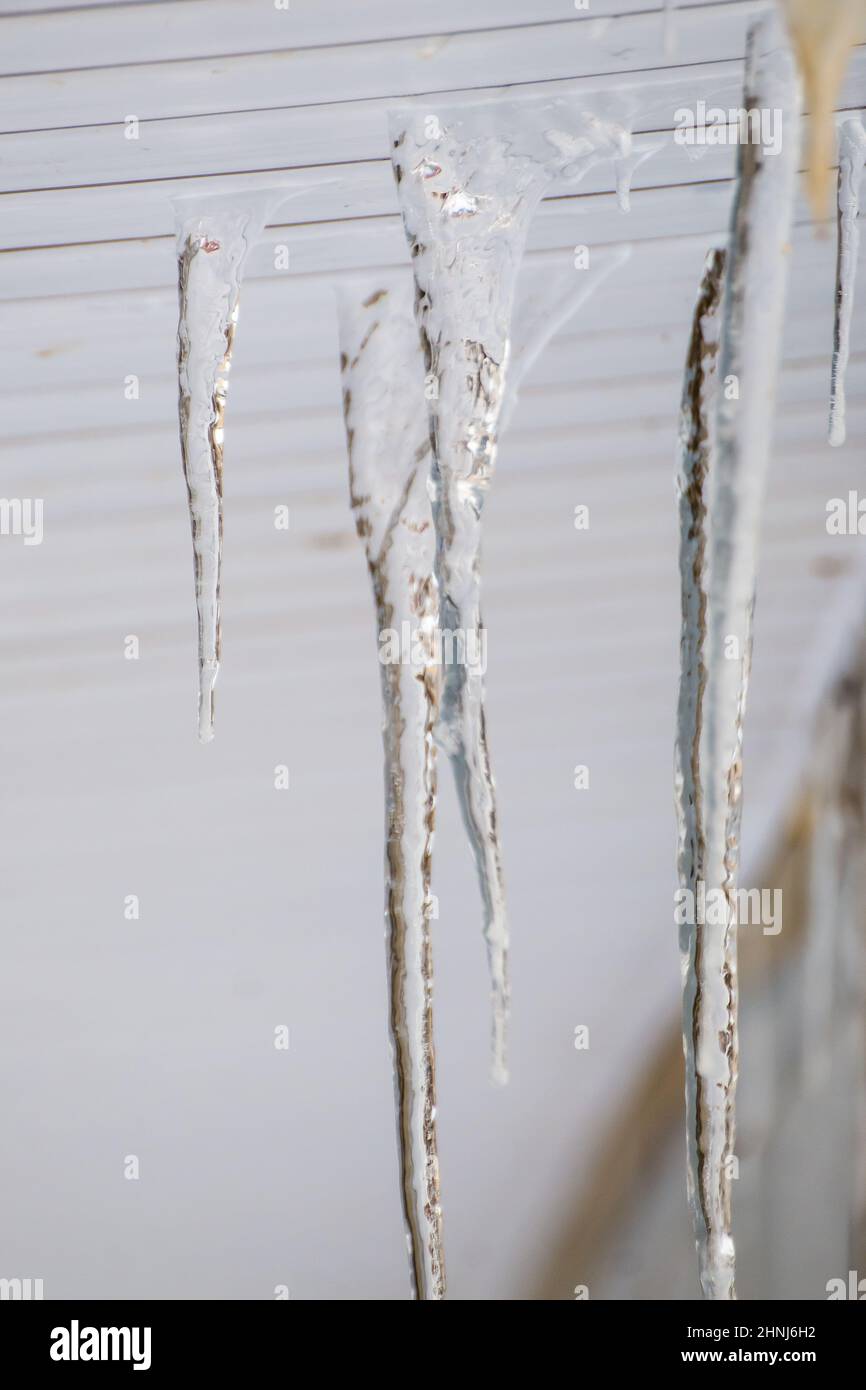 Los helados congelados cuelgan bajo la visera de plástico del borde del techo. Sobre un fondo claro. Grandes cascadas, incluso hermosas filas. Día de invierno nublado, luz suave. Foto de stock