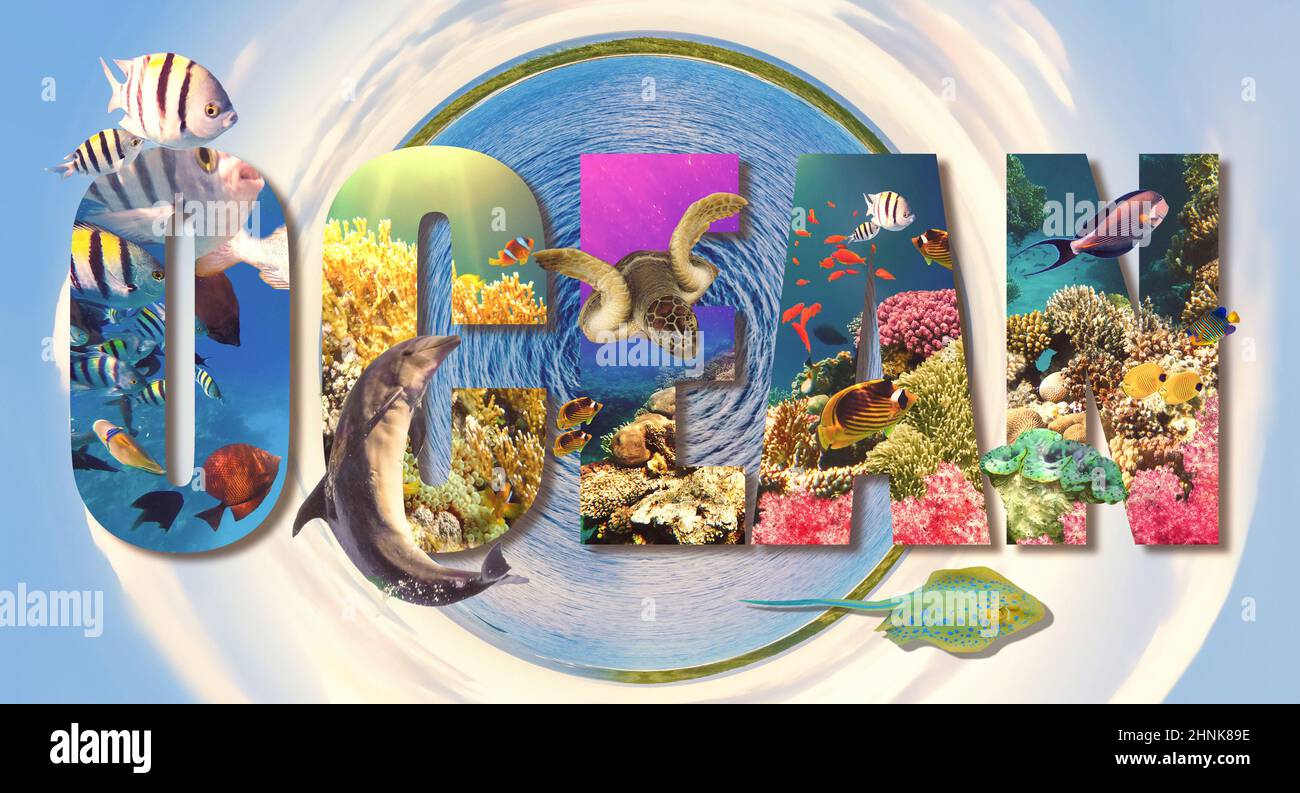 paraíso submarino fondo coral arrecife vida silvestre naturaleza collage con tiburones manta rayas tortugas marinas peces coloridos con olas en frente Foto de stock