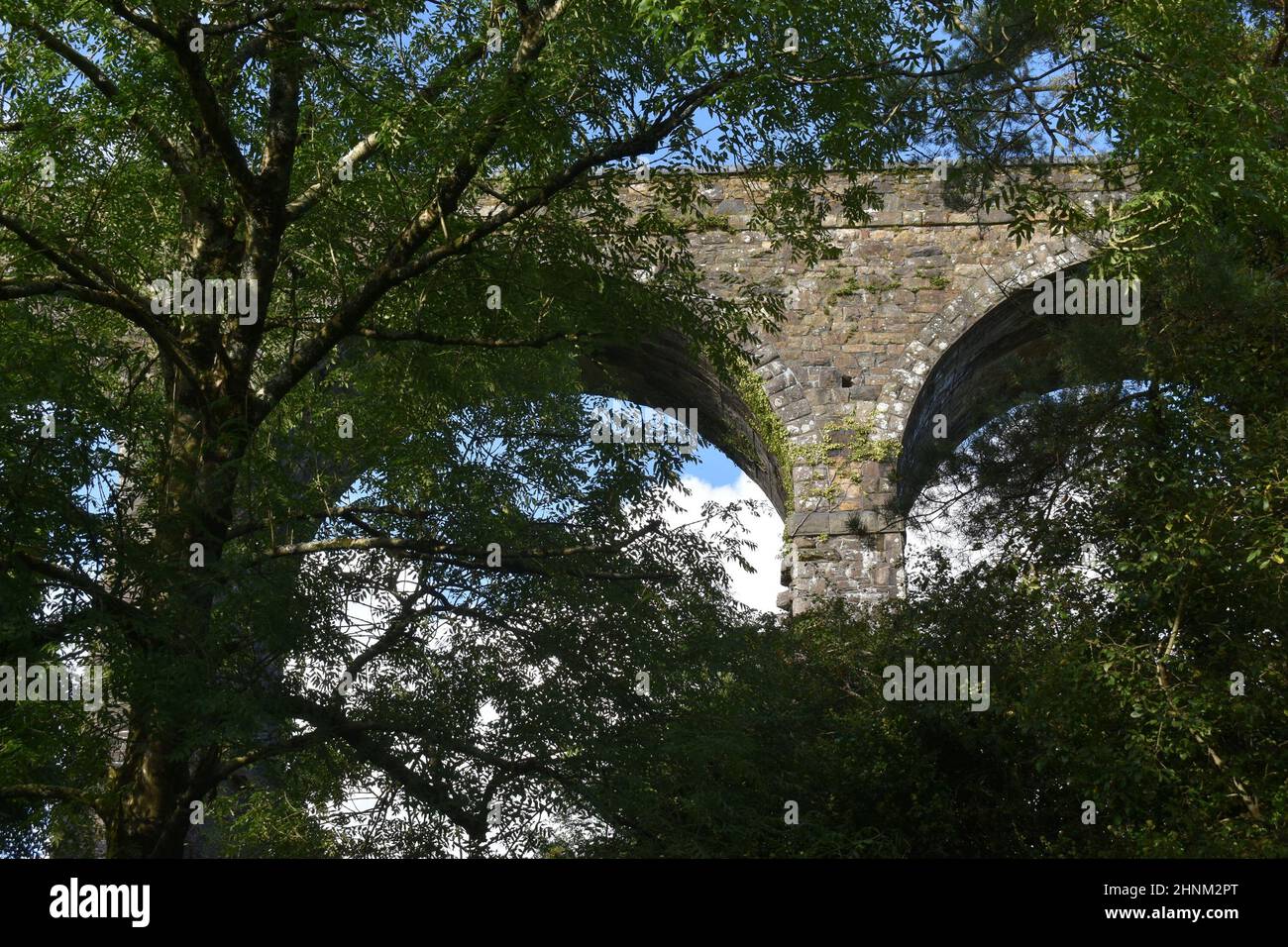 Viaducto de Kilmacthomas, Condado de Waterford, Irlanda, Puente, Piedra, Arco, Vista a través de la Canopy Foto de stock