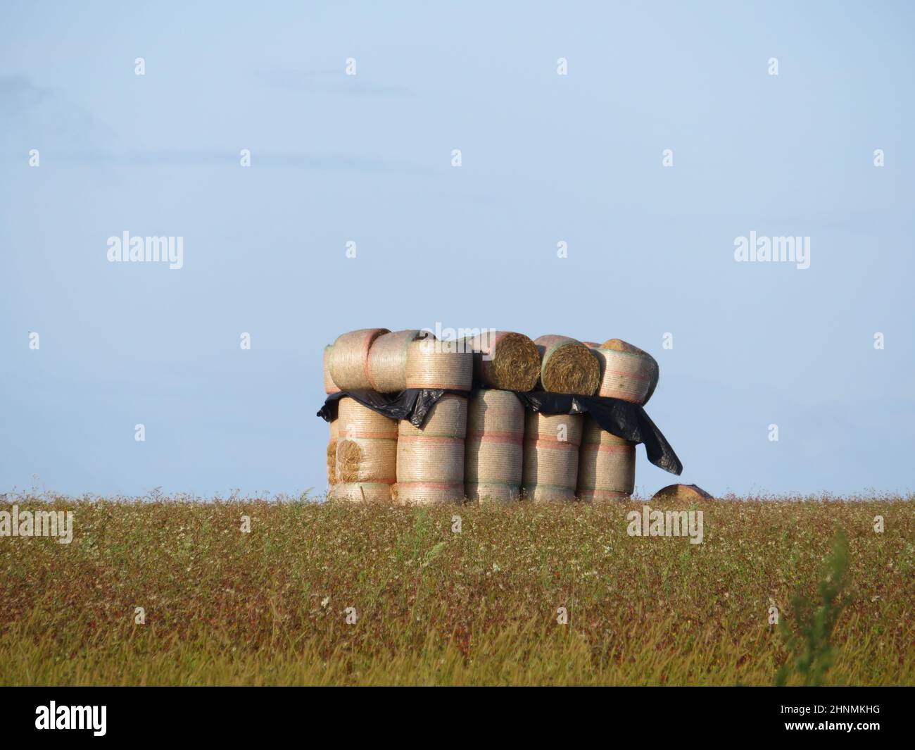 hermosas balas de paja apiladas que crean una figura artística en el campo Foto de stock
