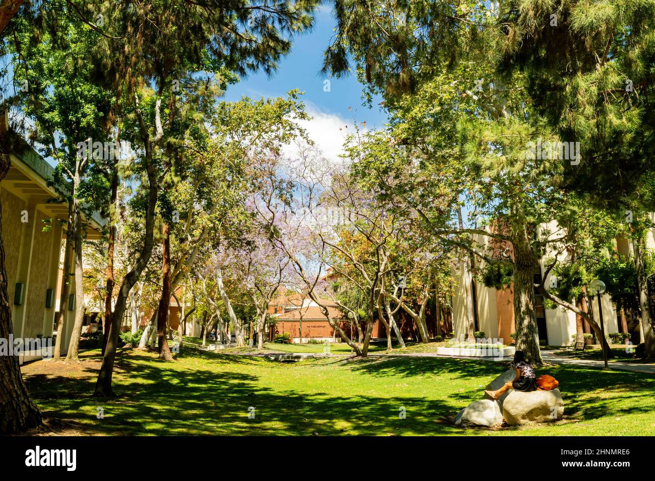 Vista soleada del campus de la Universidad del Sur de California en Los Ángeles Foto de stock