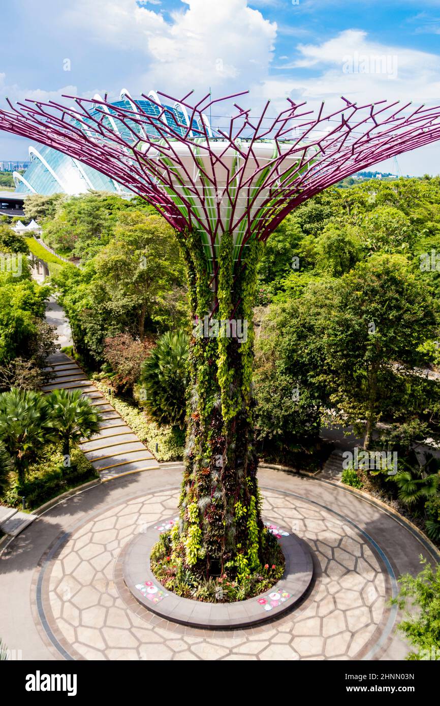 Jardines futuristas junto a la bahía y el bosque de superárboles en Singapur. Foto de stock