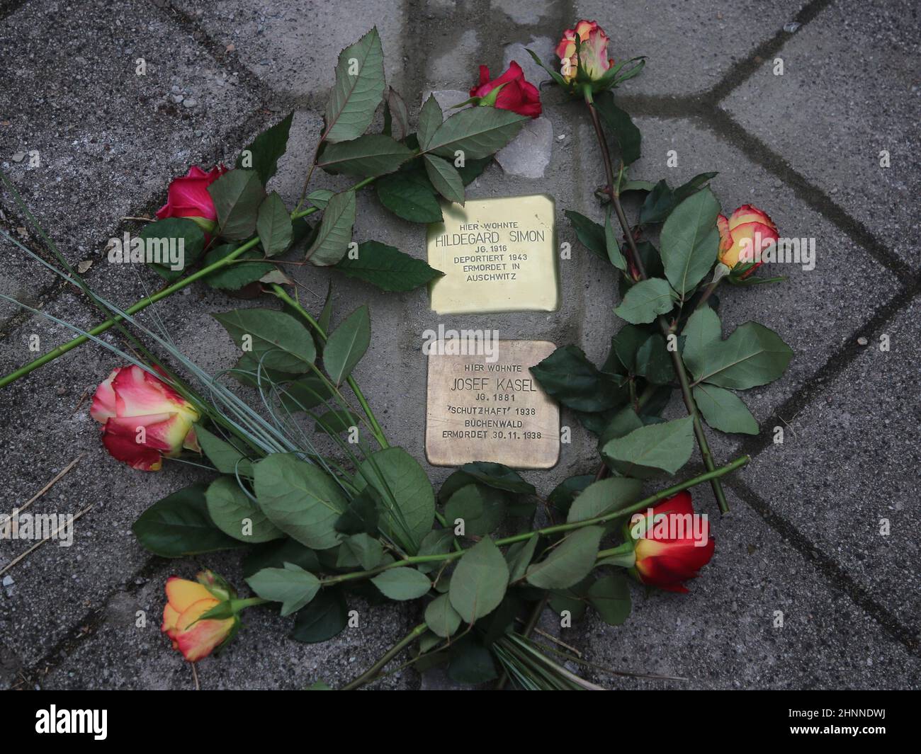 Gunter Demnig verlegte Stolpersteine mit Blumen Am 11.11.2021 Magdeburg Foto de stock