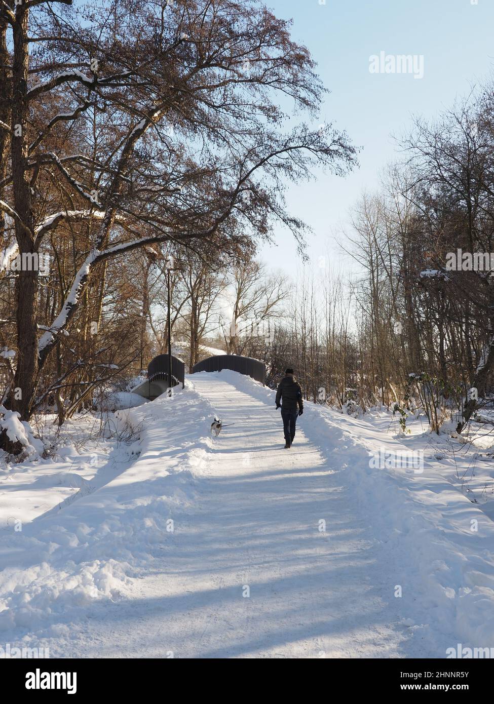 Mujer joven caminando con su perro en el parque de invierno Foto de stock