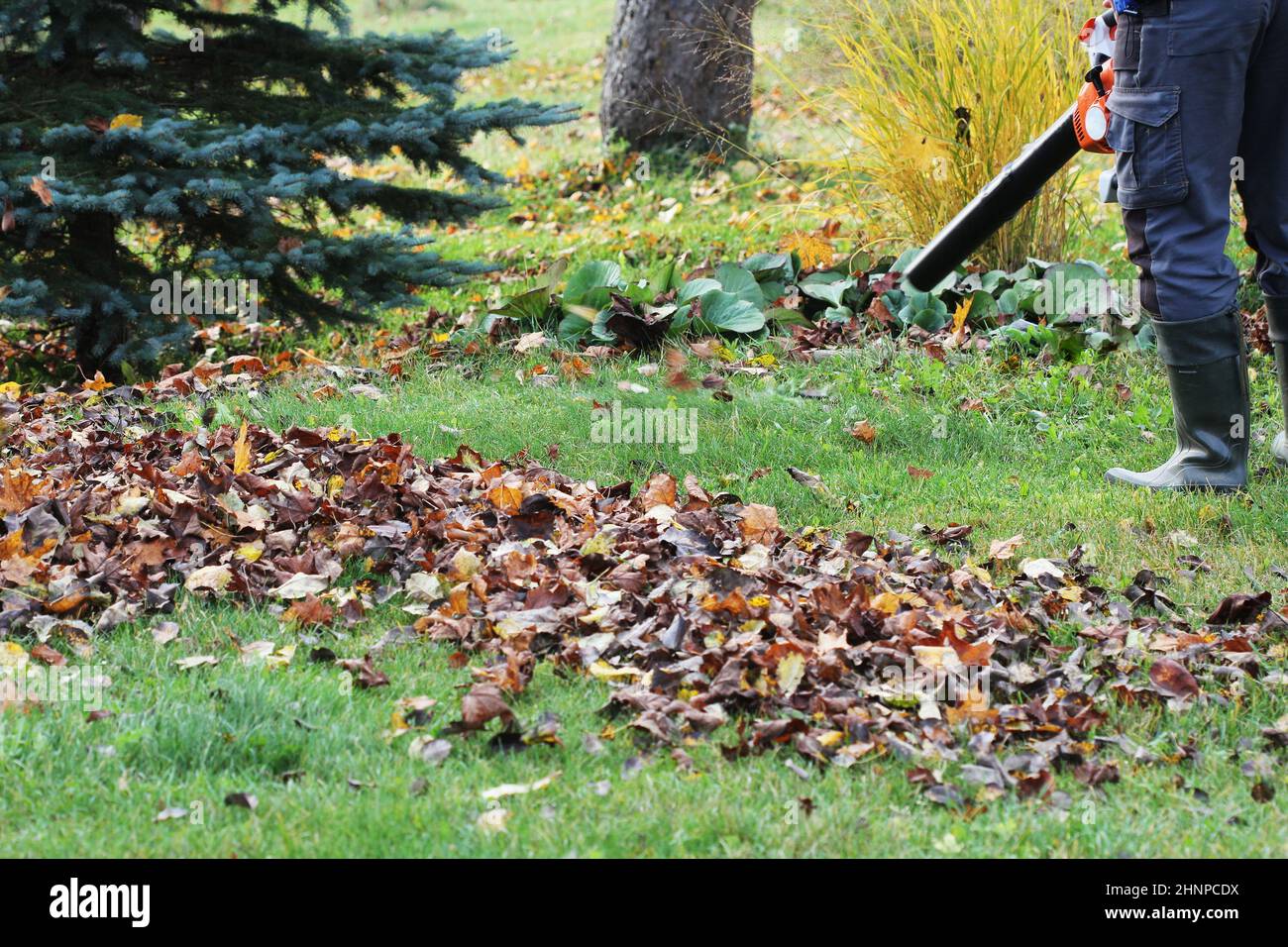Sopladores de hojas inalámbricos soplador de hojas eléctrico inalámbrico de  mano en un jardín otoño trabajos de jardinería