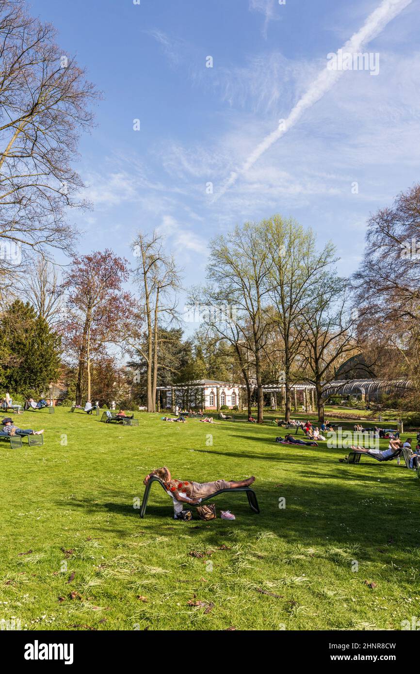 Los huéspedes podrán relajarse en la zona al aire libre del Palmengarten, en Frankfurt. Foto de stock