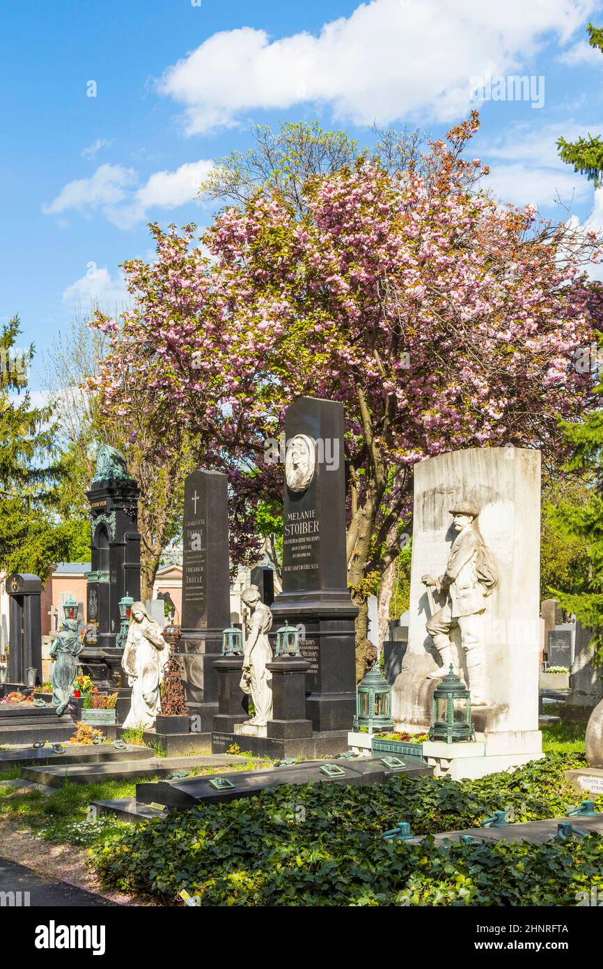 Vista al Cementerio Central de Viena, el lugar donde se entierra a gente famosa como músicos Foto de stock