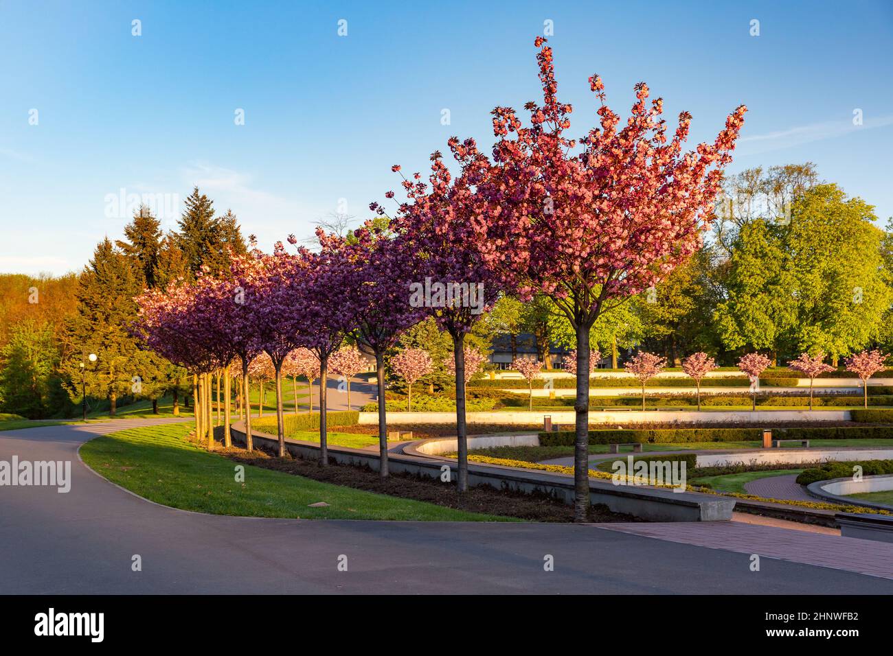 Pequeño lago y rosarium en el parque Cytadella en la mañana de primavera, Poznan, Polonia Foto de stock