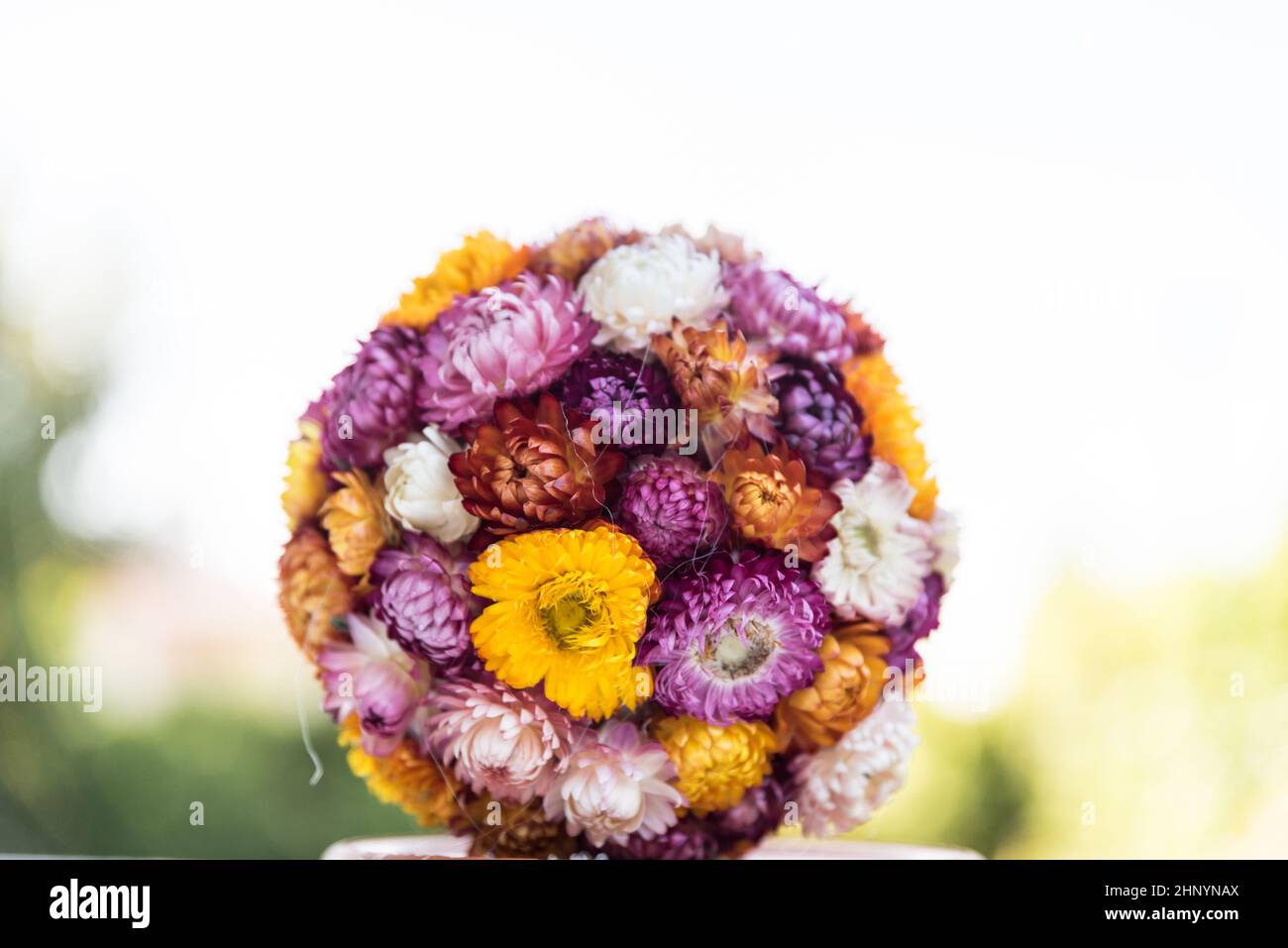 flores coloridas y eternas - bola de flores secas, brillante decoración otoñal, efecto bokeh Foto de stock