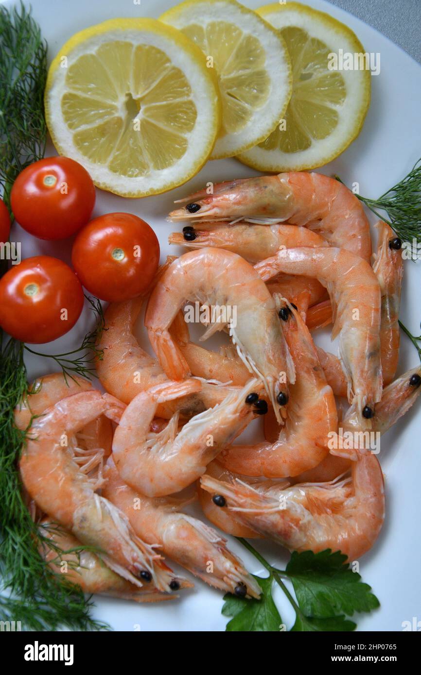Gambas (latín. Caridea) recetas de platos culinarios con camarones