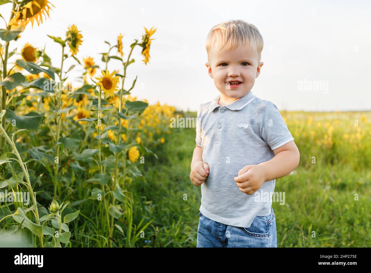 Niño pequeño jugando en el fondo del campo y sonriendo. Tres años de diversión en el campo de girasoles al atardecer. Estilo de vida al aire libre en verano Foto de stock