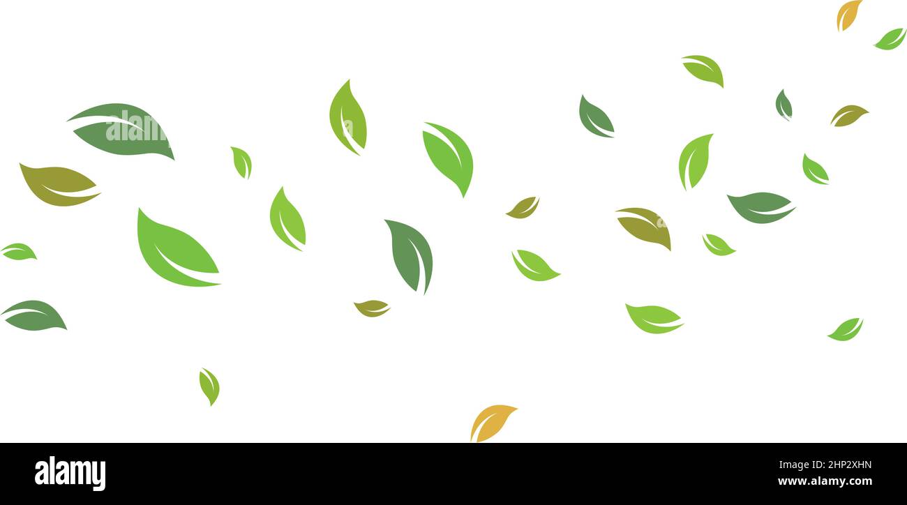 hojas caídas y diseño de ilustración de vectores de viento Imagen