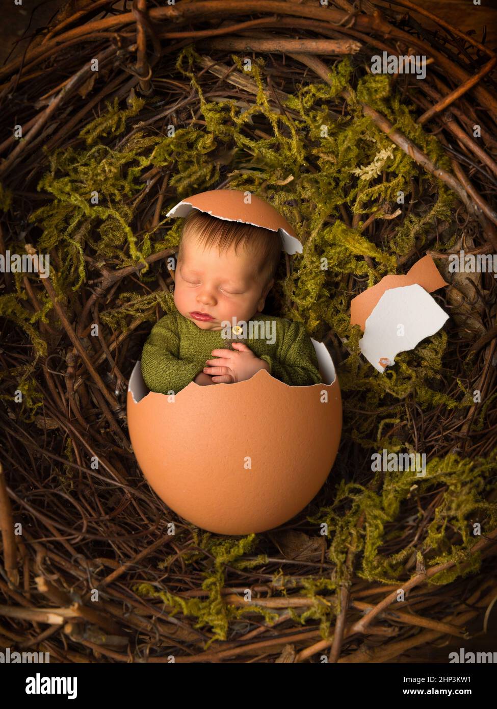 Bebe en huevo fotografías e imágenes de alta resolución - Alamy