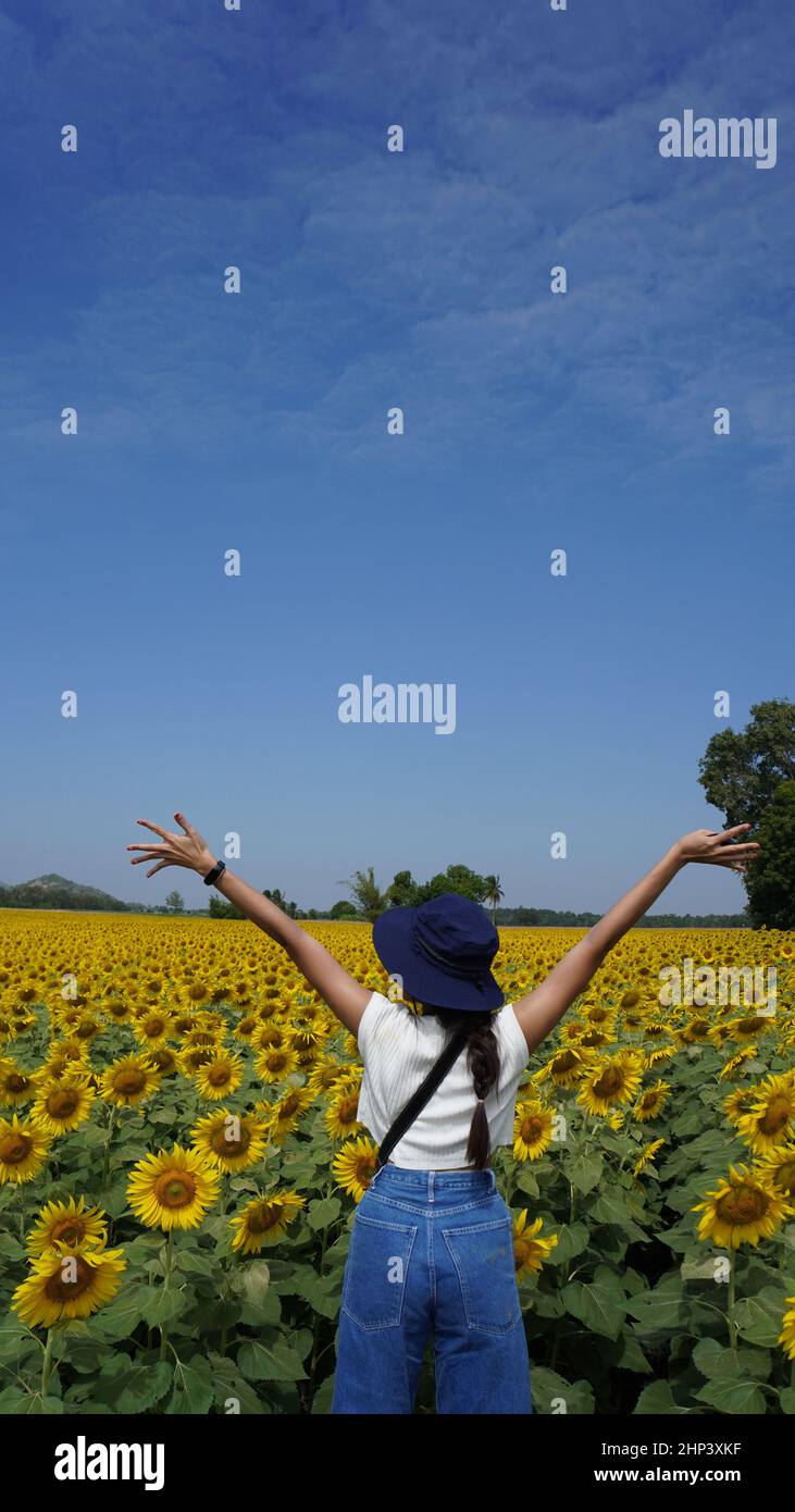 Mujer asiática de pie y los brazos abiertos en el campo de girasol en el día soleado Foto de stock