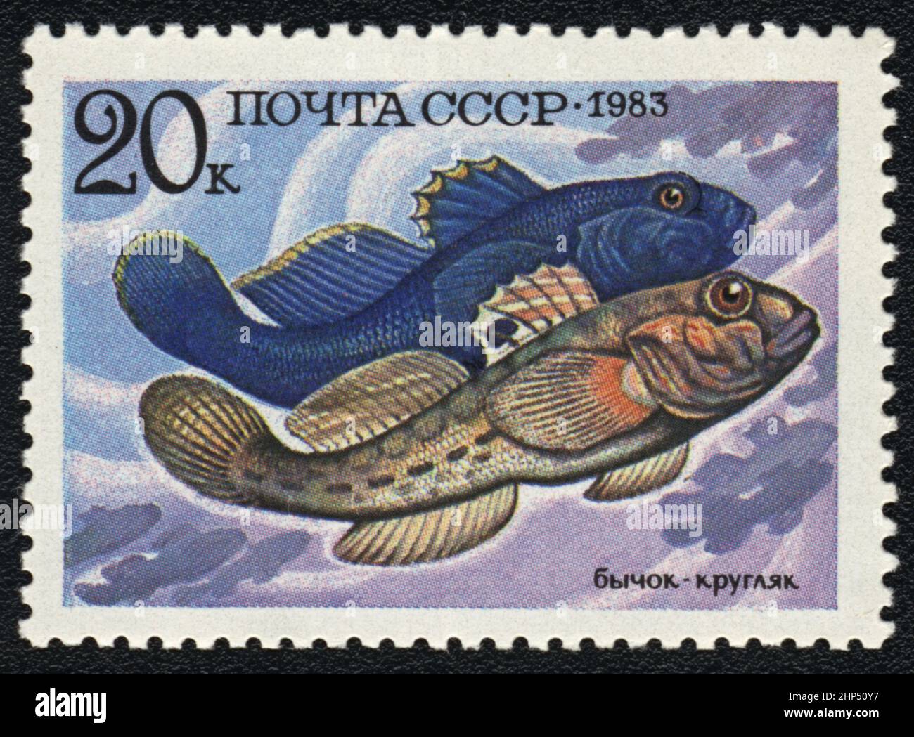 Un sello postal con imagen de pez Goby redondo (Neogobius melanostomus), URSS, 1983 Foto de stock