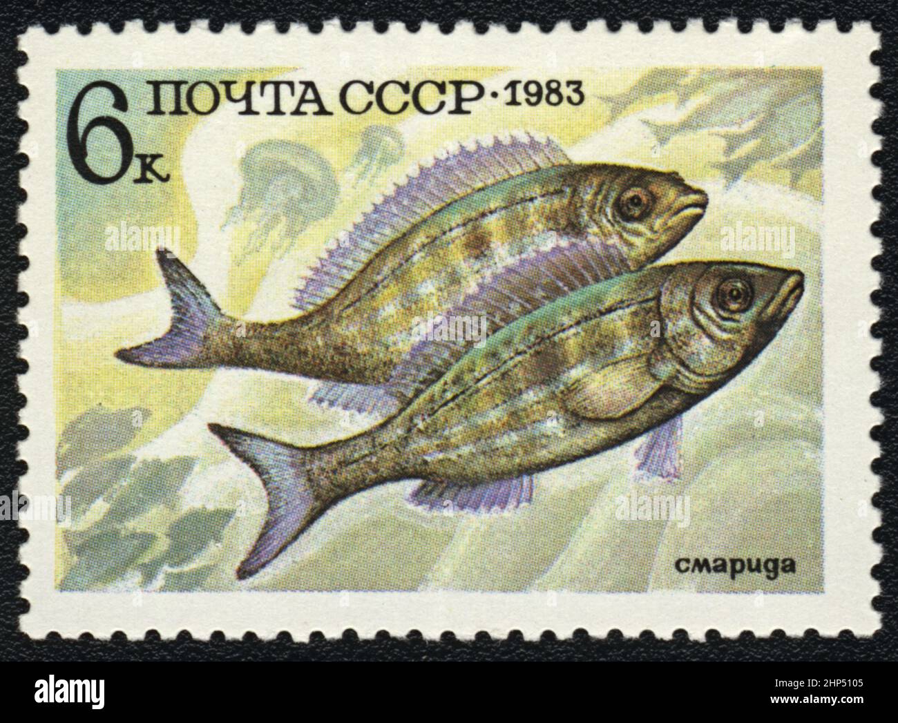 Un sello postal con imagen de Fish Spicara smaris, URSS, 1983 Foto de stock