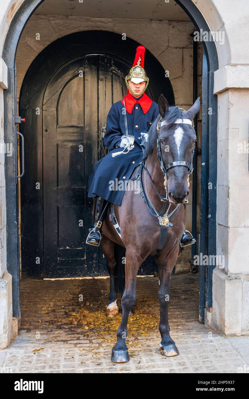 Un guardia solitario en las afueras de Horse Guards en Whitehall, Londres, Reino Unido, Europa. Foto de stock