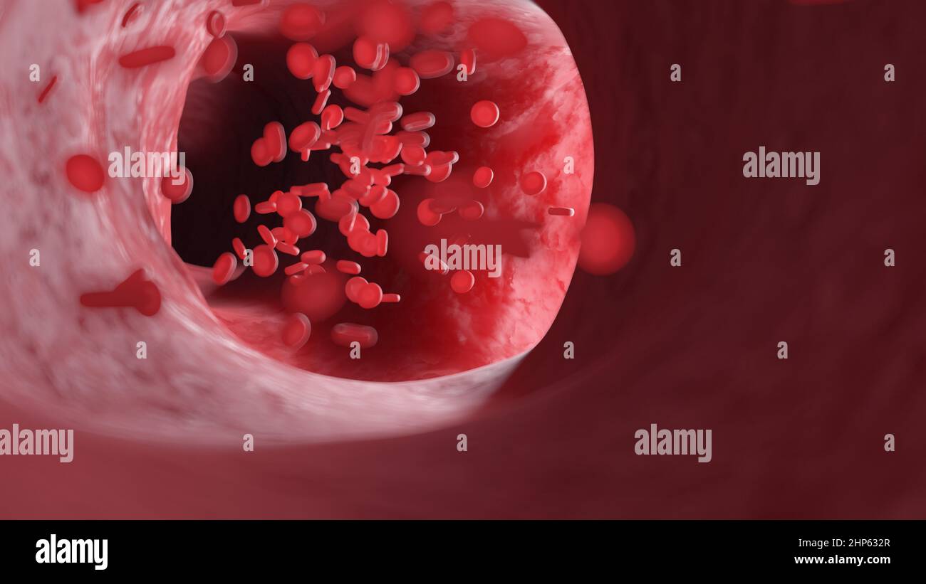 Glóbulos rojos que fluyen a través de una arteria, ilustración. Foto de stock