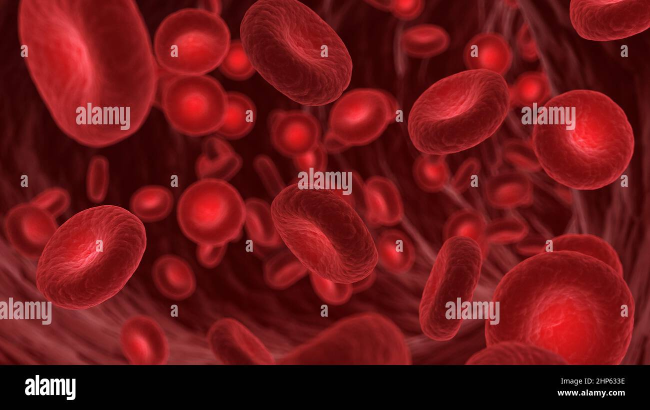 Glóbulos rojos en una arteria humana, ilustración. Foto de stock
