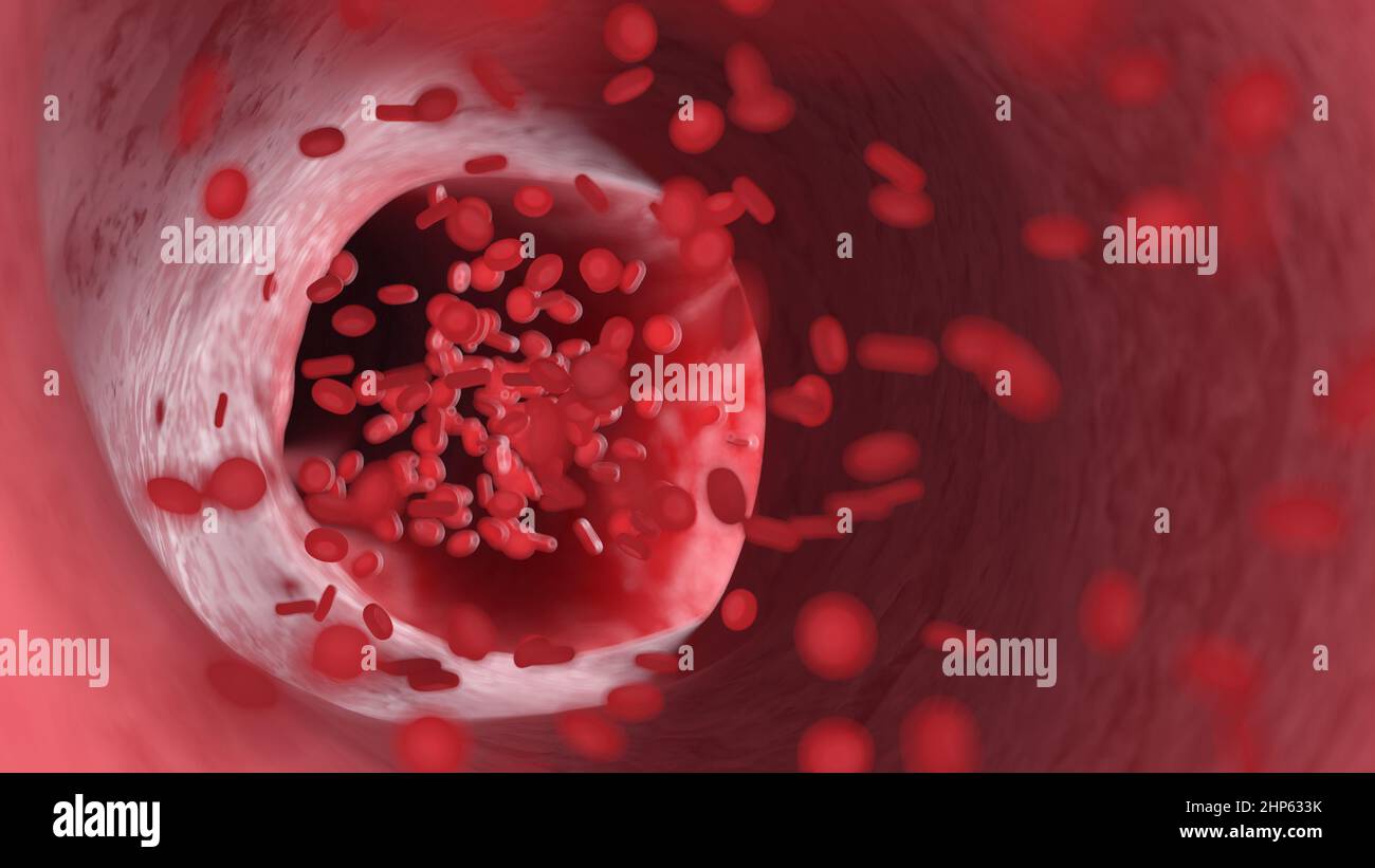 Glóbulos rojos que fluyen a través de una arteria, ilustración. Foto de stock