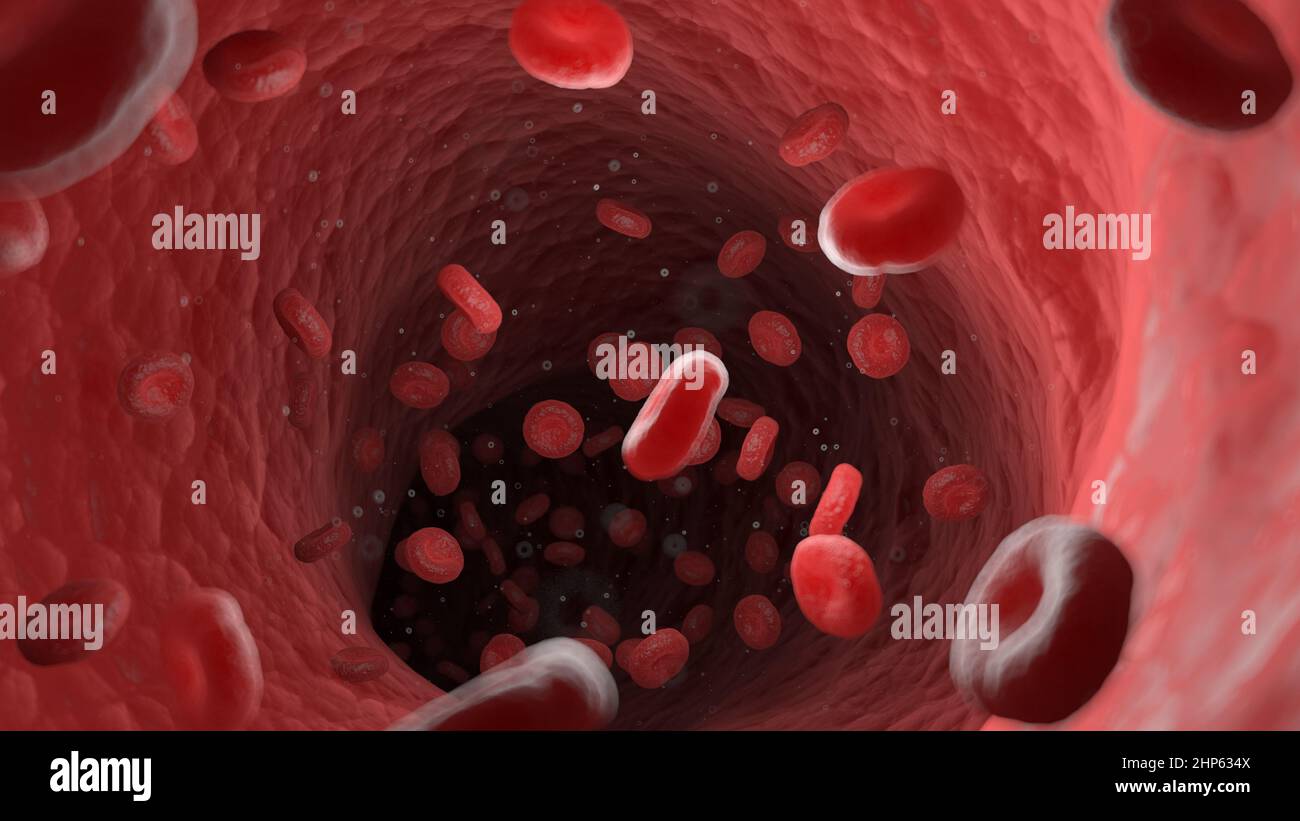 Glóbulos rojos en una arteria humana, ilustración. Foto de stock