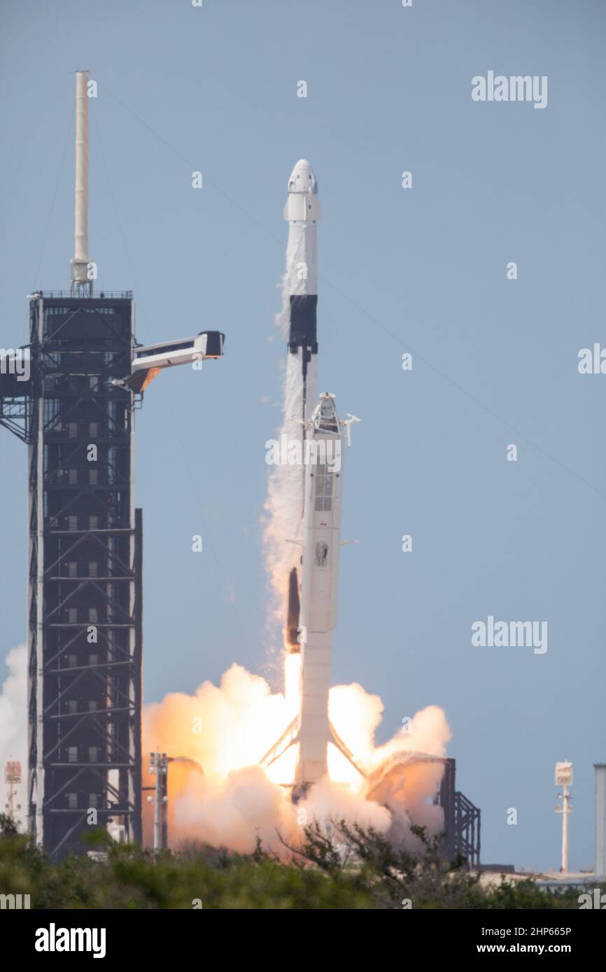 Un cohete SpaceX Falcon 9 y una nave espacial Crew Dragon despegan del Complejo de Lanzamiento 39A en el Centro Espacial Kennedy de la NASA en Florida el 30 de mayo de 2020 Foto de stock