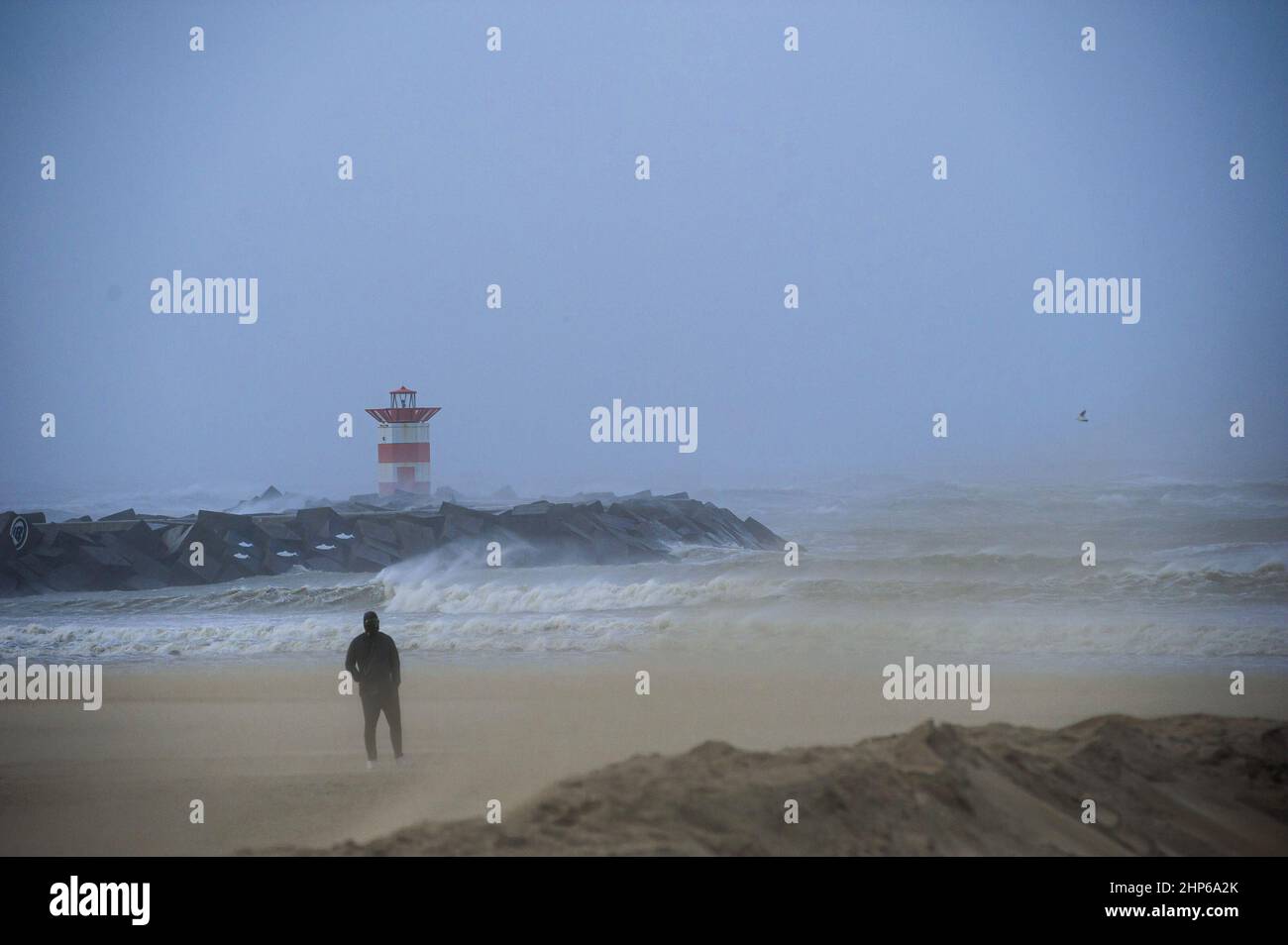 Mirando al mar, un hombre se llena de elementos en el complejo turístico holandés de Mirando al mar, un hombre se llena de elementos en el complejo turístico holandés de