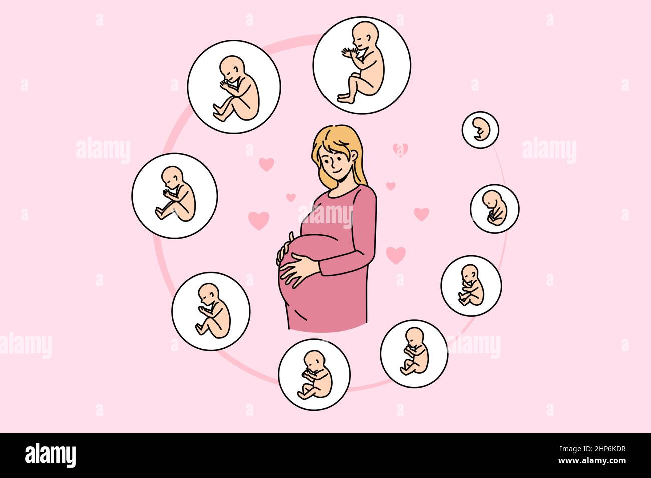 Mujer embarazada con etapas de desarrollo embrionario Ilustración del Vector
