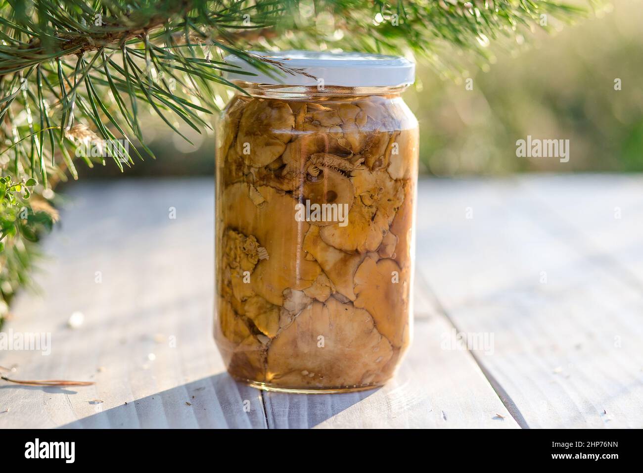 Setas boletus marinadas en una jarra. Alimentos orgánicos, naturales, caseros. Lago Vlasina, Serbia Foto de stock