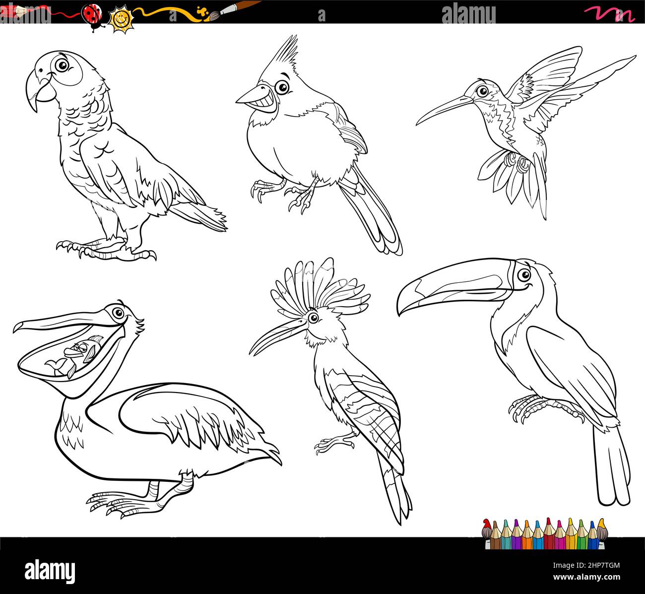 Pájaros  Libro De Colorear Para Mayores: Dibujos Grandes y