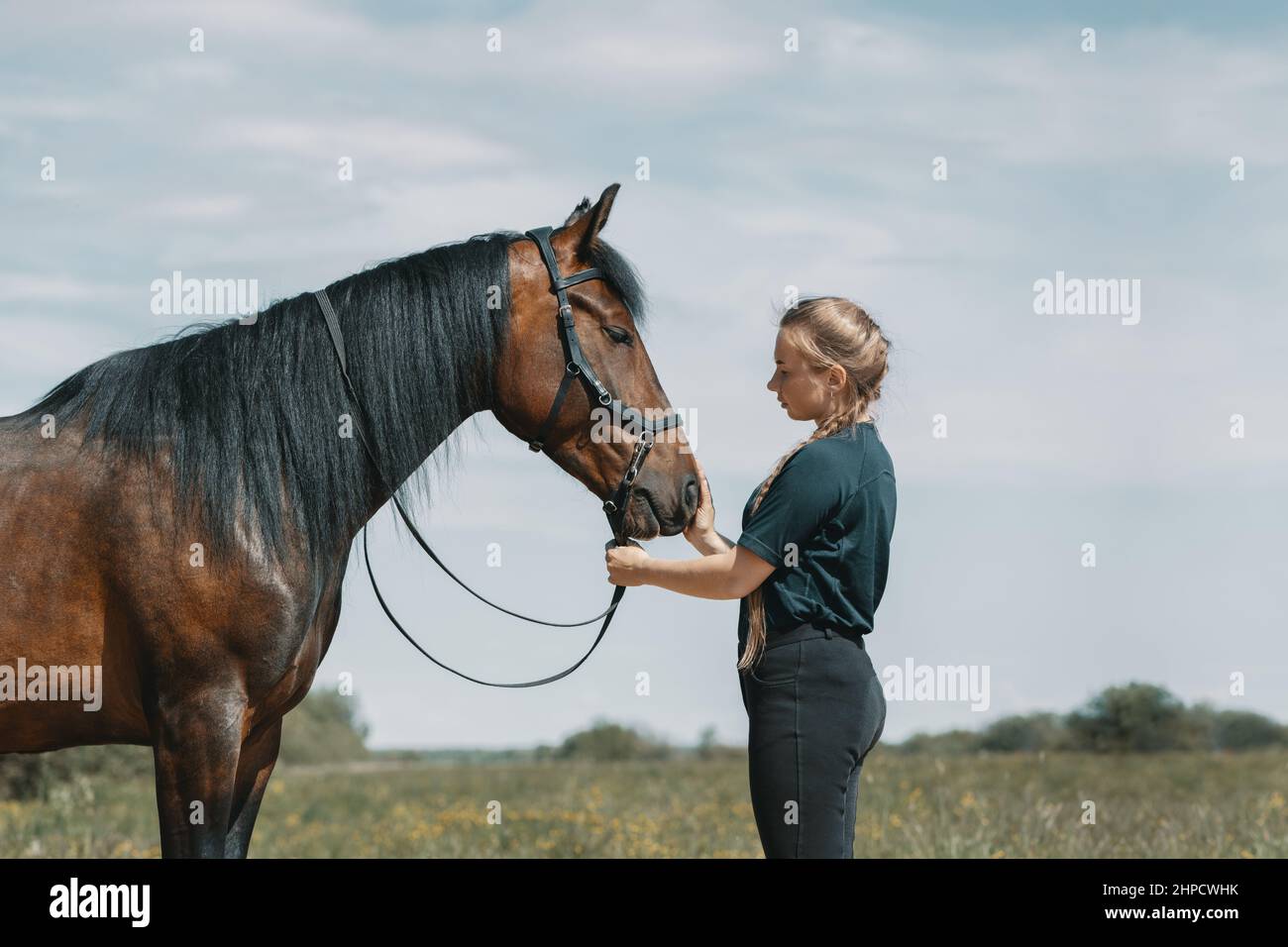 Hocico de caballo fotografías e imágenes de alta resolución Alamy