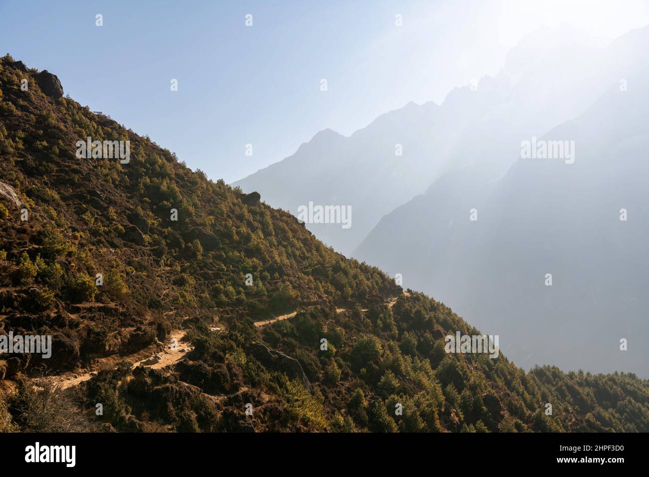 Naturaleza en Nepal, alta montaña con árboles en la sombra. Foto de stock