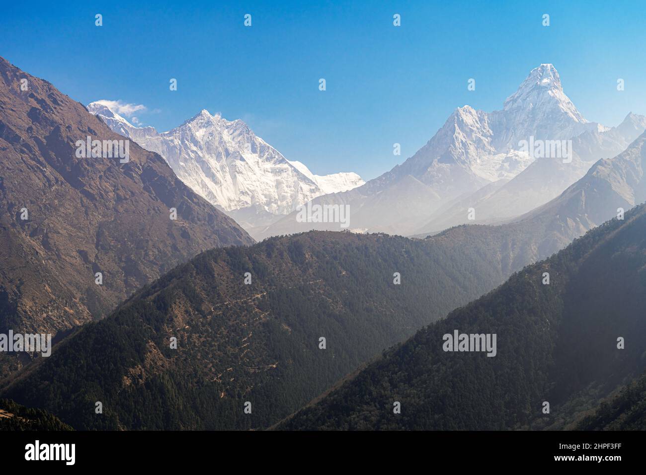 Contraste grandes montañas con un árbol, Nepal. Foto de stock