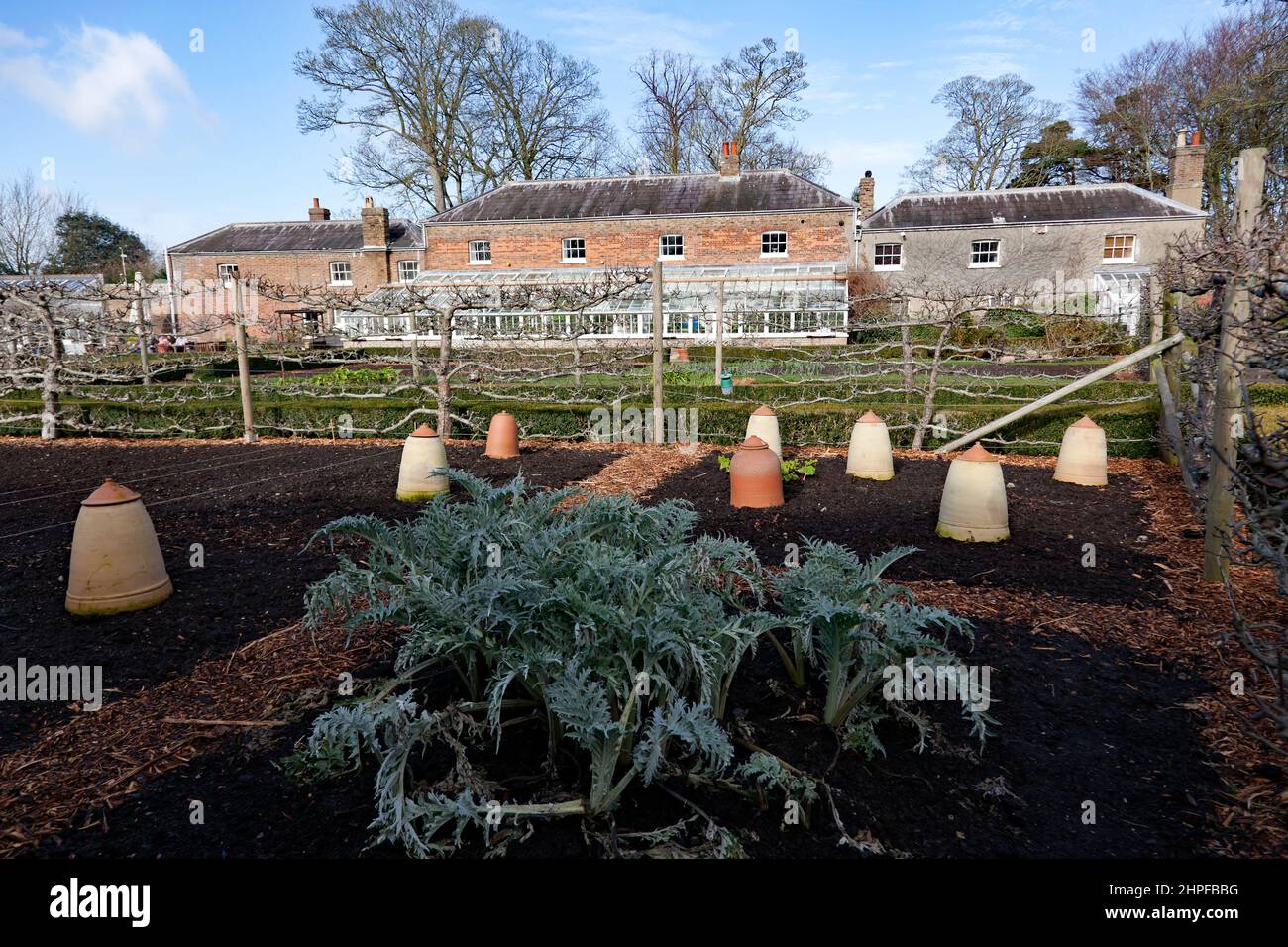 Vista en invierno del jardín de la cocina y los invernaderos, en el Castillo de Walmer, Kent Foto de stock