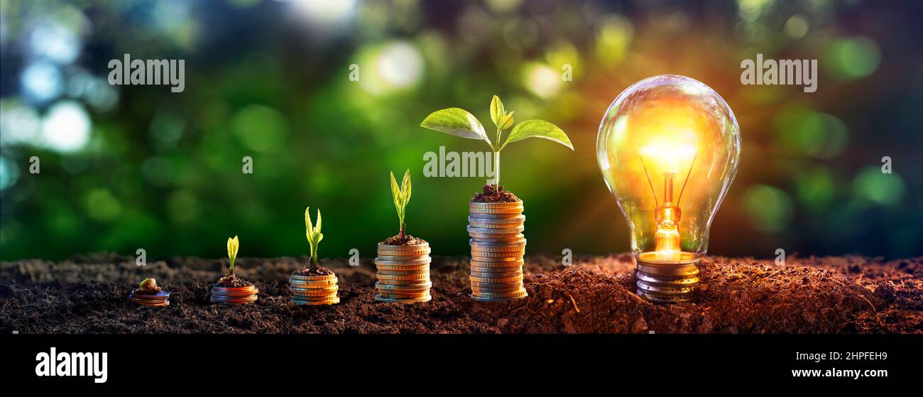 Energía y dinero - Crecimiento de plantas y bombilla - Árboles pequeños en pila de monedas con lámpara de bulbo Foto de stock
