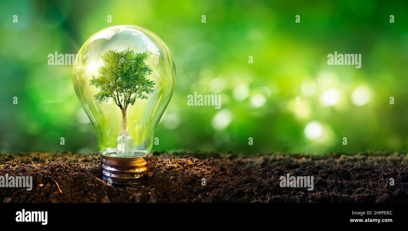Lámpara con árbol - Ecología Concepto de desarrollo de energía Foto de stock